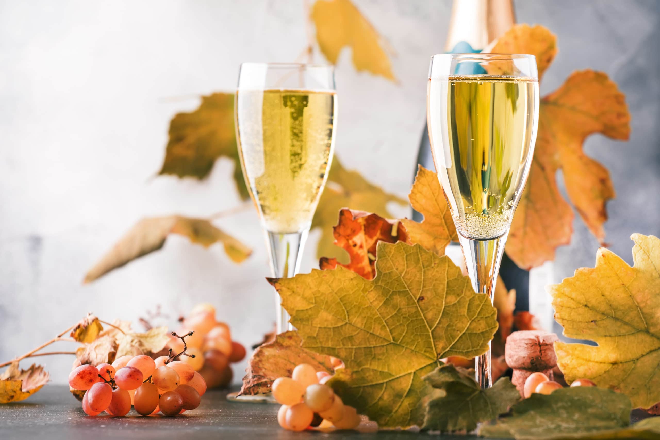glasses of champagne next to fall leaves