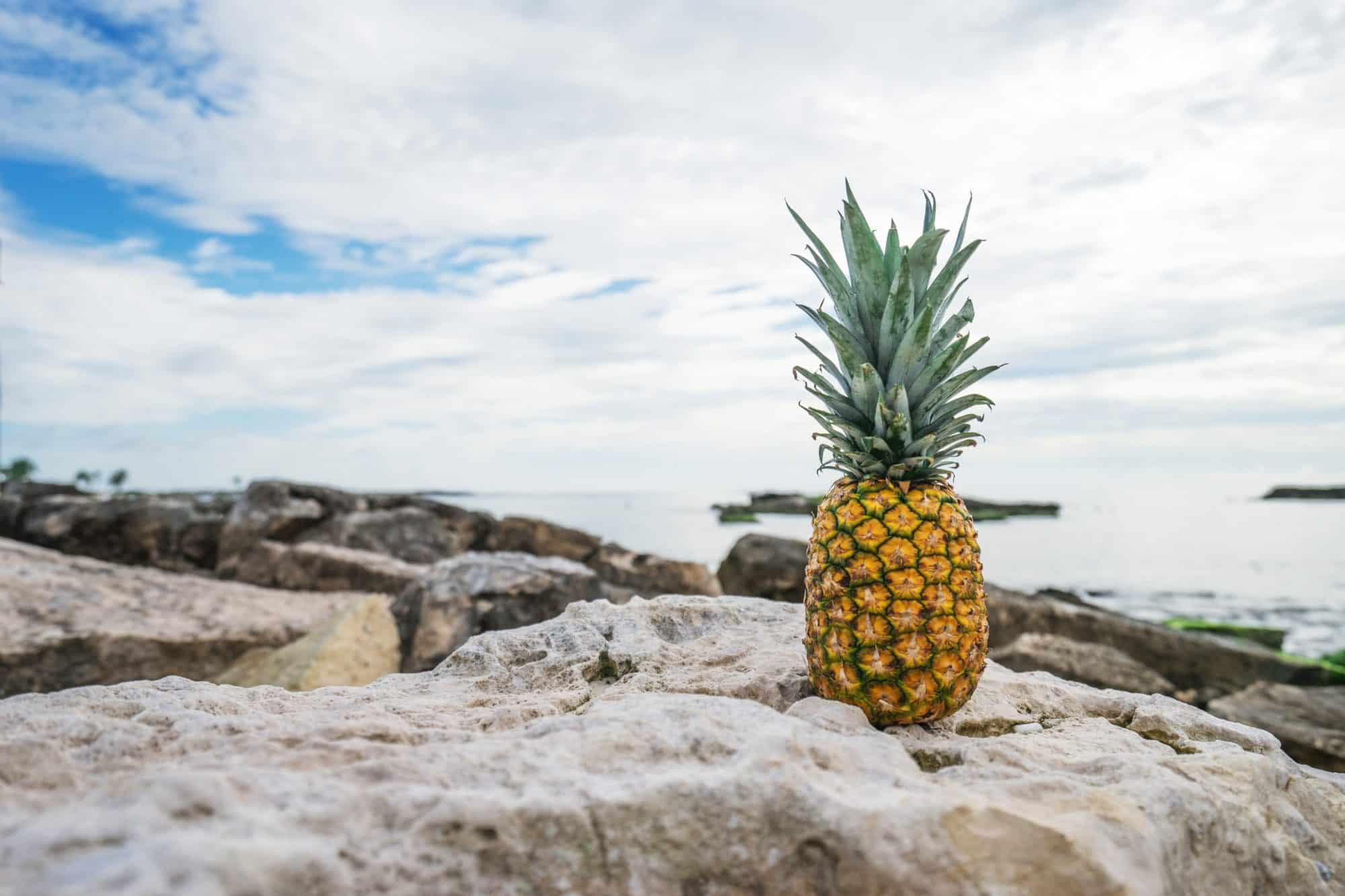 Pineapple on a rocky coast near the water