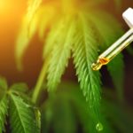 5 Health Benefits Older Adults Can Gain from CBD Oil