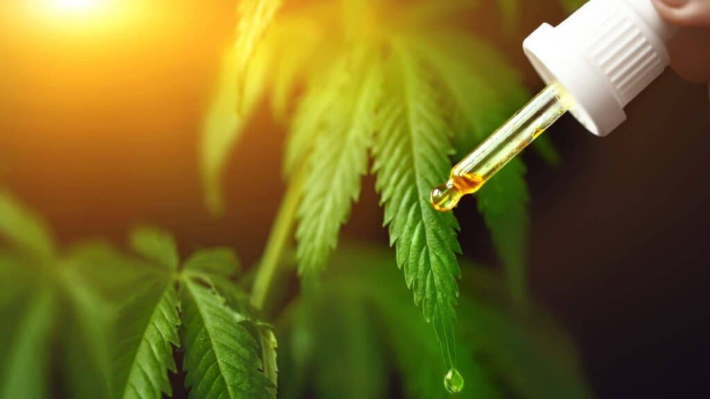 benefits of cbd oil