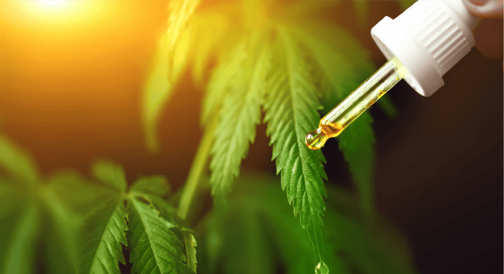 cbd oil